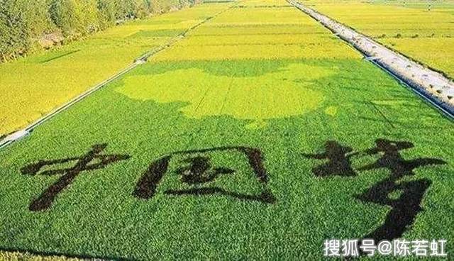 規(guī)范引領，服務增效 全國首個《農業(yè)生產托管服務規(guī)范》發(fā)布，賦能現(xiàn)代農業(yè)發(fā)展