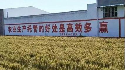 農業(yè)托管模式再啟新篇 45億補貼落地，六成紅利直抵農民腰包